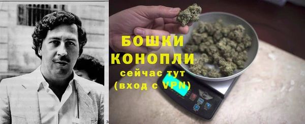 прущие крисы Новодвинск