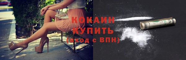 СК Новозыбков