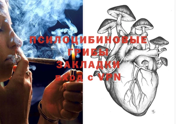 прущие крисы Новодвинск