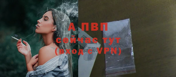 СК Новозыбков