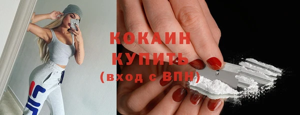 СК Новозыбков