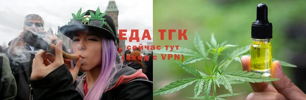 СК Новозыбков