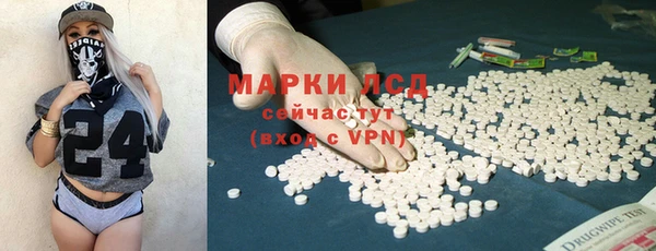 СК Новозыбков