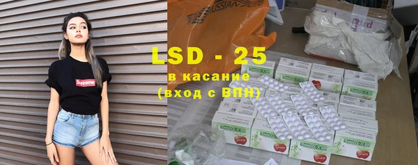 СК Новозыбков