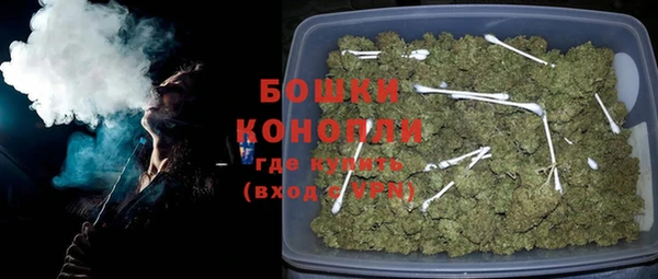 СК Новозыбков