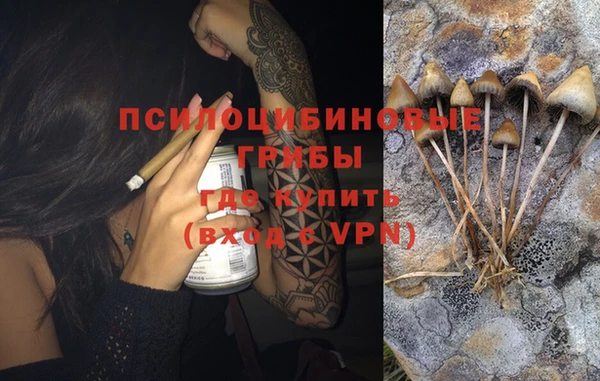 прущие крисы Инсар