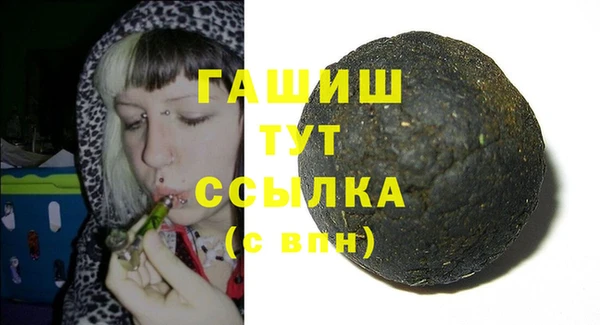 индика Бронницы