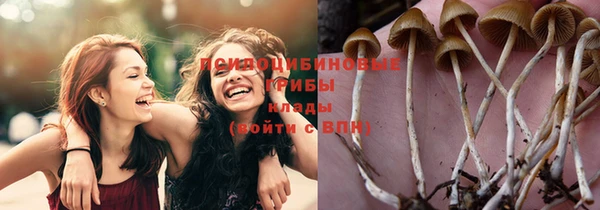 герыч Новокубанск