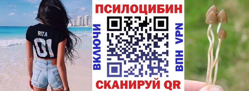 Галлюциногенные грибы Cubensis  МЕГА как войти  Короча 